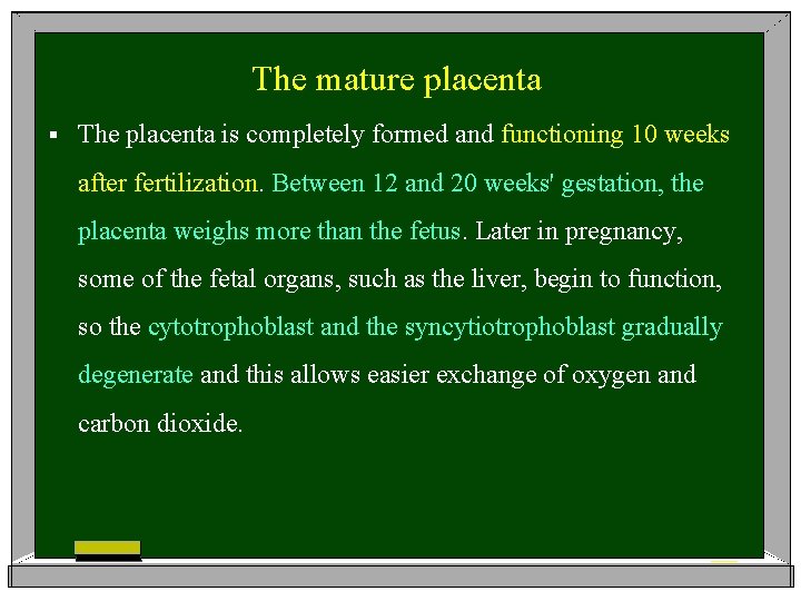 The mature placenta § The placenta is completely formed and functioning 10 weeks after