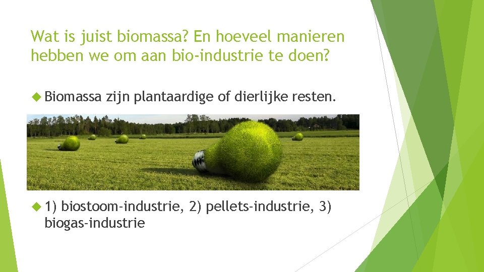 Wat is juist biomassa? En hoeveel manieren hebben we om aan bio-industrie te doen?