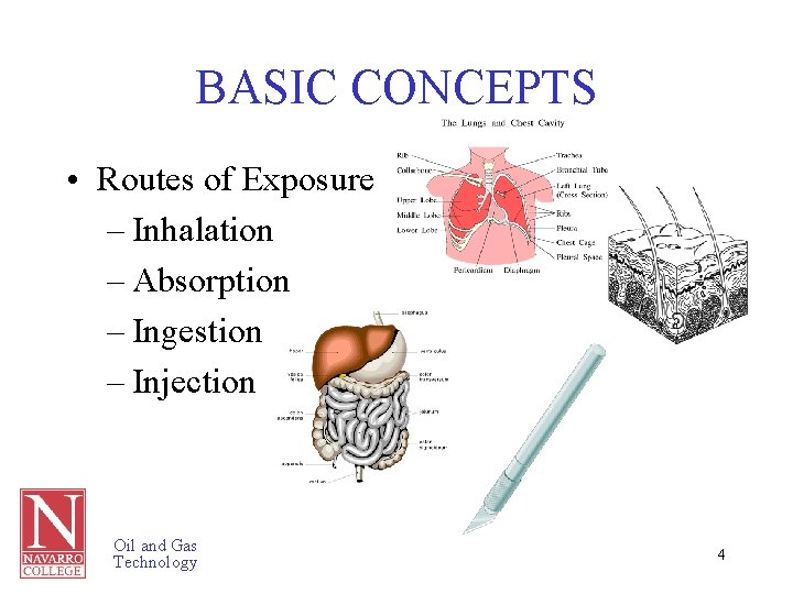 BASIC CONCEPTS • Routes of Exposure – Inhalation – Absorption – Ingestion – Injection