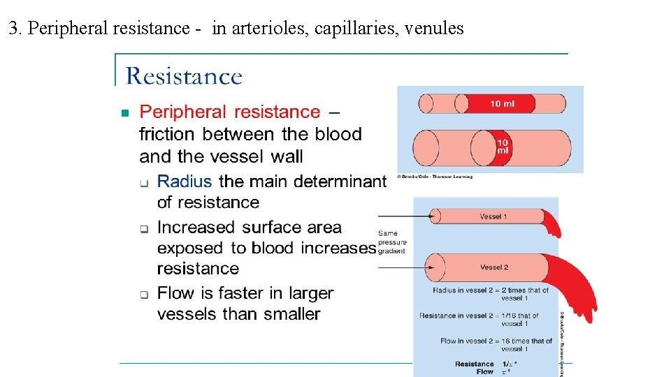 3. Peripheral resistance - in arterioles, capillaries, venules 