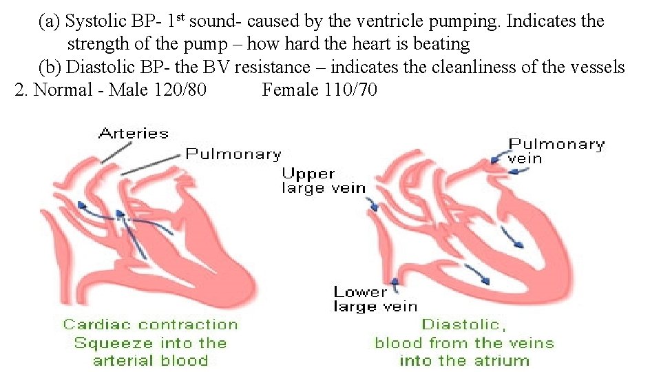 (a) Systolic BP- 1 st sound- caused by the ventricle pumping. Indicates the strength