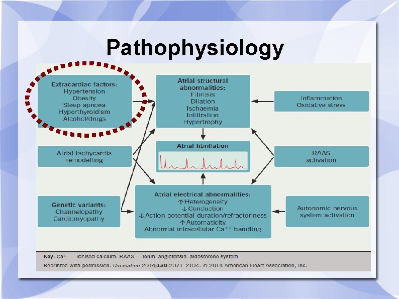 Pathophysiology 