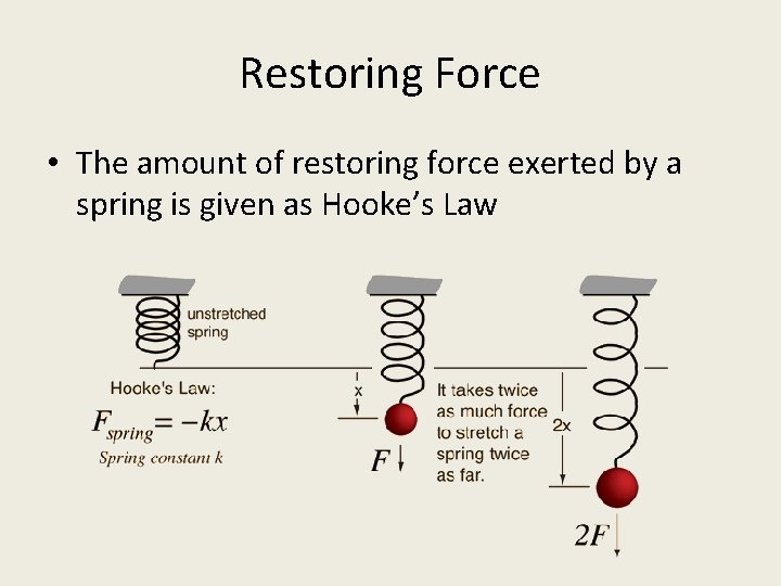 Restoring Force • The amount of restoring force exerted by a spring is given