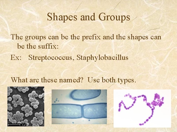 Shapes and Groups The groups can be the prefix and the shapes can be