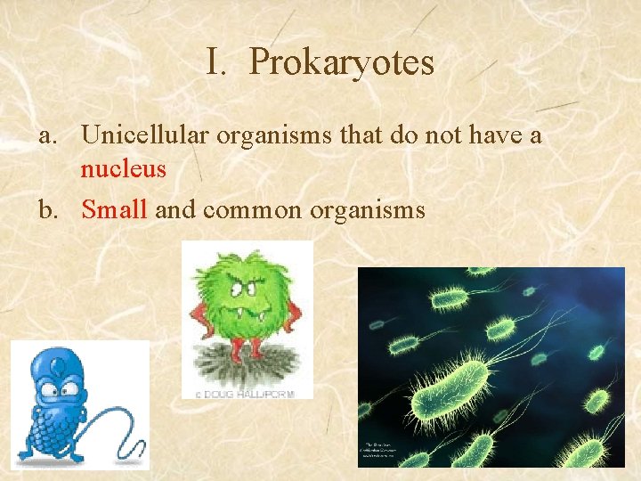 I. Prokaryotes a. Unicellular organisms that do not have a nucleus b. Small and