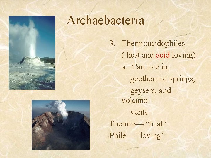 Archaebacteria 3. Thermoacidophiles— ( heat and acid loving) a. Can live in geothermal springs,