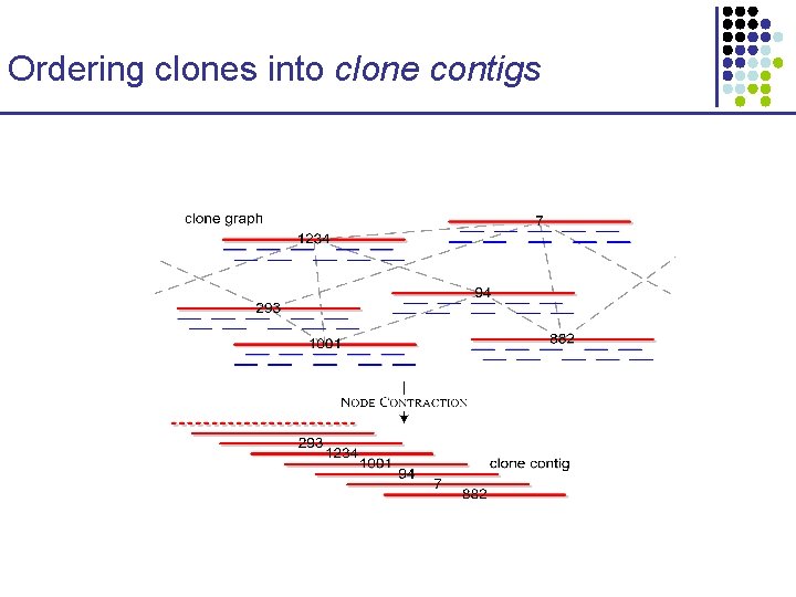 Ordering clones into clone contigs 