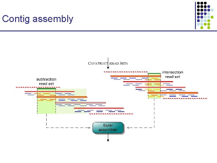 Contig assembly 