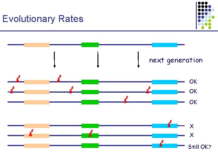 Evolutionary Rates next generation OK OK OK X X Still OK? 