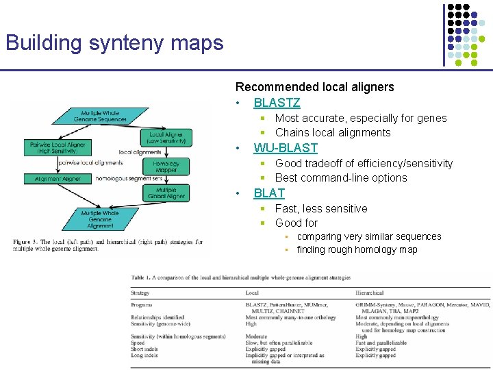 Building synteny maps Recommended local aligners • BLASTZ § Most accurate, especially for genes