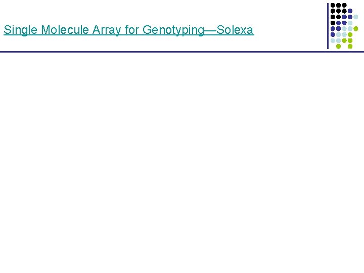 Single Molecule Array for Genotyping—Solexa 