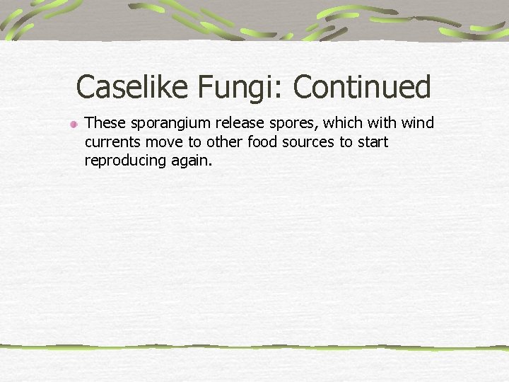 Caselike Fungi: Continued These sporangium release spores, which with wind currents move to other