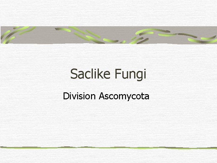 Saclike Fungi Division Ascomycota 
