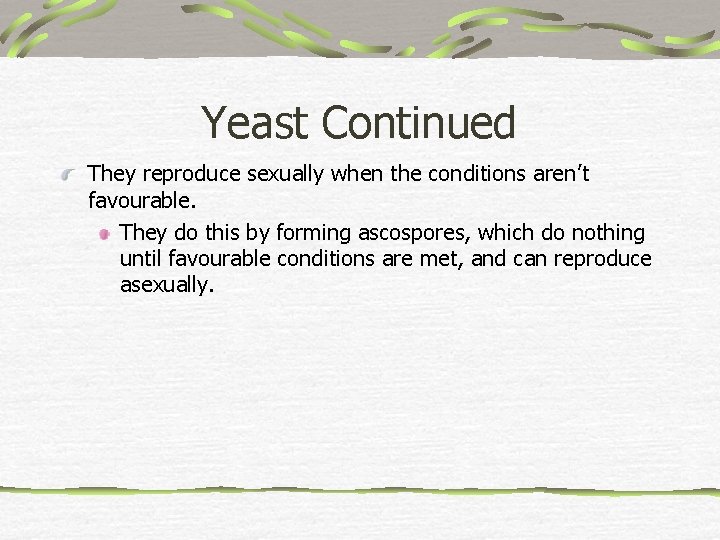Yeast Continued They reproduce sexually when the conditions aren’t favourable. They do this by