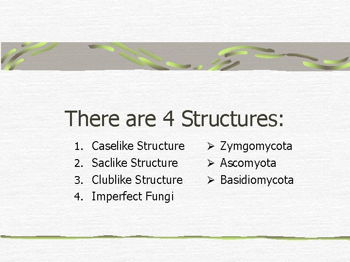 There are 4 Structures: 1. Caselike Structure Ø Zymgomycota 2. Saclike Structure Ø Ascomyota