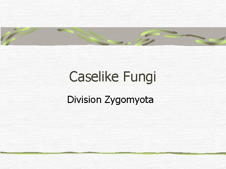 Caselike Fungi Division Zygomyota 