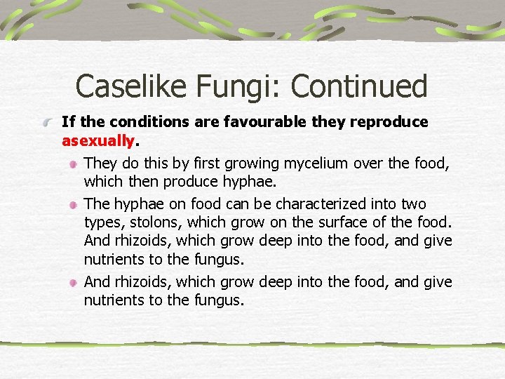 Caselike Fungi: Continued If the conditions are favourable they reproduce asexually. They do this