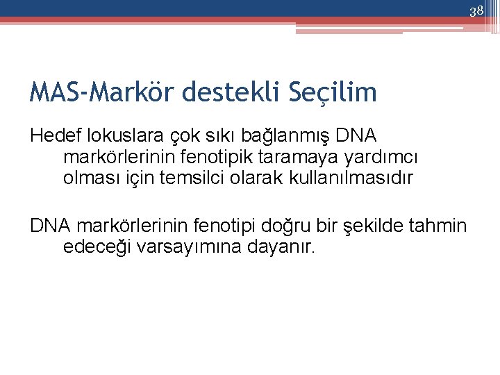38 MAS-Markör destekli Seçilim Hedef lokuslara çok sıkı bağlanmış DNA markörlerinin fenotipik taramaya yardımcı