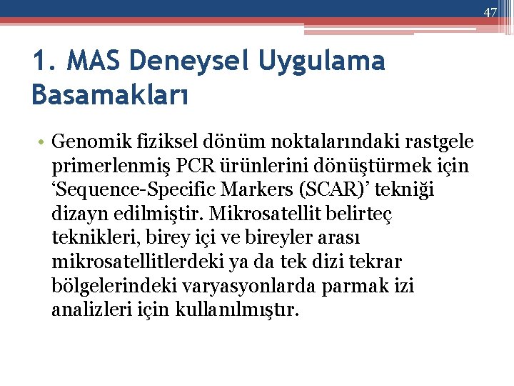 47 1. MAS Deneysel Uygulama Basamakları • Genomik fiziksel dönüm noktalarındaki rastgele primerlenmiş PCR