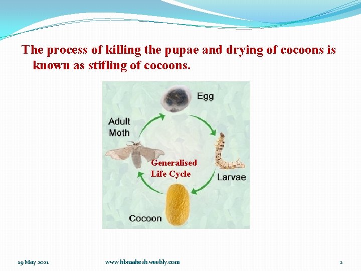 The process of killing the pupae and drying of cocoons is known as stifling