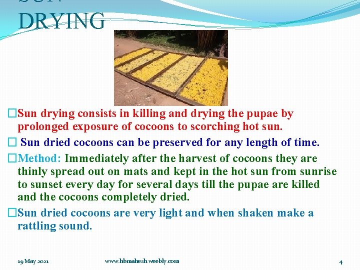 SUN DRYING �Sun drying consists in killing and drying the pupae by prolonged exposure