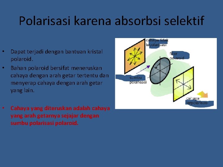 Polarisasi karena absorbsi selektif • Dapat terjadi dengan bantuan kristal polaroid. • Bahan polaroid