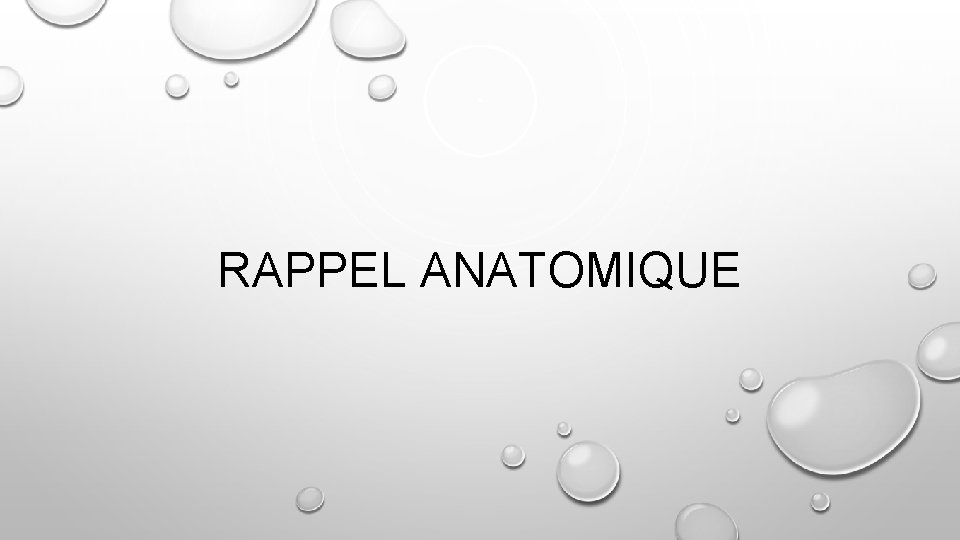 RAPPEL ANATOMIQUE 