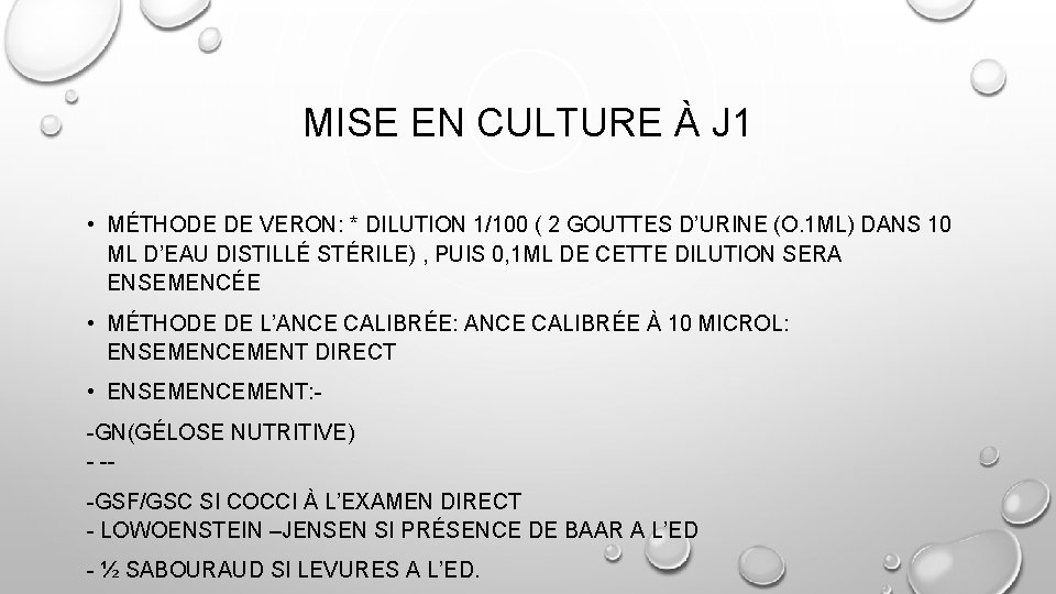 MISE EN CULTURE À J 1 • MÉTHODE DE VERON: * DILUTION 1/100 (