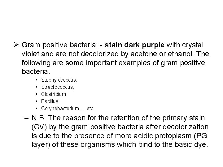 Ø Gram positive bacteria: - stain dark purple with crystal violet and are not