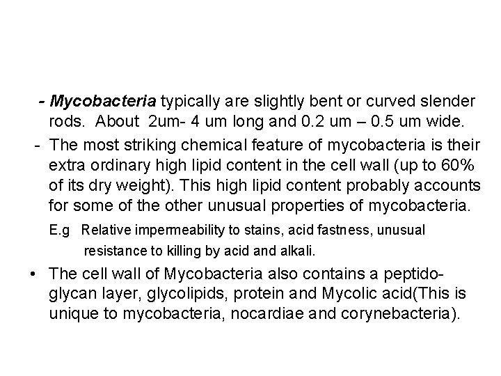 - Mycobacteria typically are slightly bent or curved slender rods. About 2 um- 4