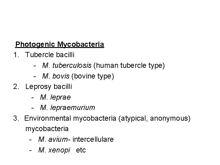 Photogenic Mycobacteria 1. Tubercle bacilli - M. tuberculosis (human tubercle type) - M. bovis