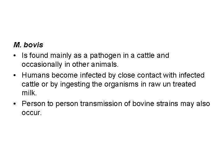 M. bovis • Is found mainly as a pathogen in a cattle and occasionally