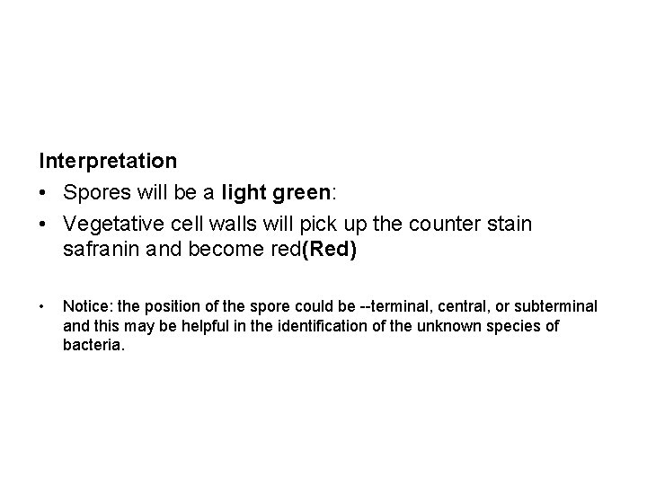 Interpretation • Spores will be a light green: • Vegetative cell walls will pick