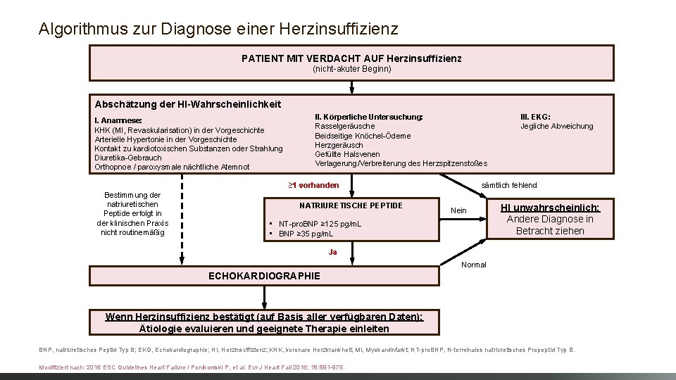 Algorithmus zur Diagnose einer Herzinsuffizienz PATIENT MIT VERDACHT AUF Herzinsuffizienz (nicht-akuter Beginn) Abschätzung der