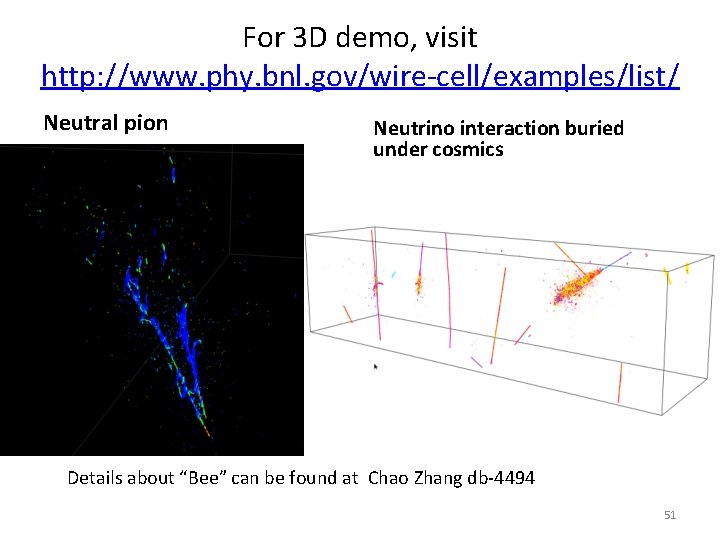 For 3 D demo, visit http: //www. phy. bnl. gov/wire-cell/examples/list/ Neutral pion Neutrino interaction