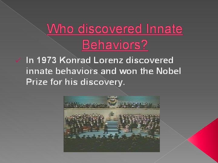 Who discovered Innate Behaviors? ü In 1973 Konrad Lorenz discovered innate behaviors and won