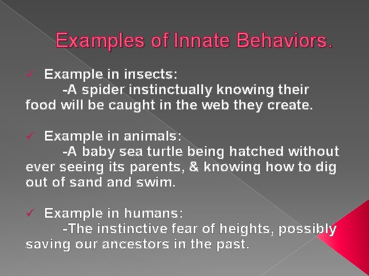 Examples of Innate Behaviors. Example in insects: -A spider instinctually knowing their food will