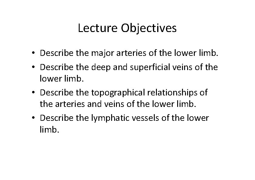 Lecture Objectives • Describe the major arteries of the lower limb. • Describe the
