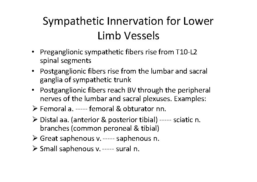 Sympathetic Innervation for Lower Limb Vessels • Preganglionic sympathetic fibers rise from T 10‐L