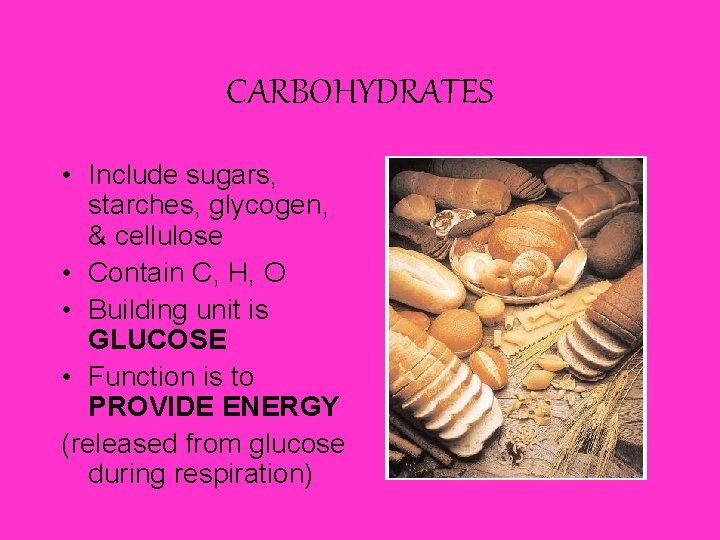 CARBOHYDRATES • Include sugars, starches, glycogen, & cellulose • Contain C, H, O • CARBOHYDRATES • Include sugars, starches, glycogen, & cellulose • Contain C, H, O •