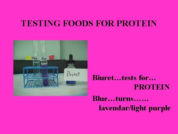 TESTING FOODS FOR PROTEIN Biuret…tests for… PROTEIN Blue…turns…… lavendar/light purple TESTING FOODS FOR PROTEIN Biuret…tests for… PROTEIN Blue…turns…… lavendar/light purple