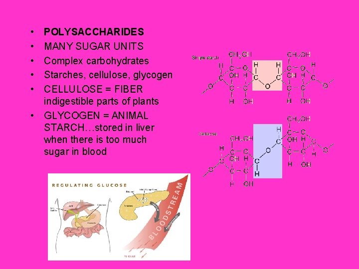  • • • POLYSACCHARIDES MANY SUGAR UNITS Complex carbohydrates Starches, cellulose, glycogen CELLULOSE