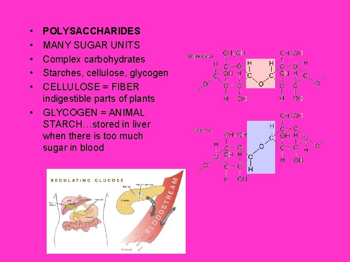 • • • POLYSACCHARIDES MANY SUGAR UNITS Complex carbohydrates Starches, cellulose, glycogen CELLULOSE • • • POLYSACCHARIDES MANY SUGAR UNITS Complex carbohydrates Starches, cellulose, glycogen CELLULOSE