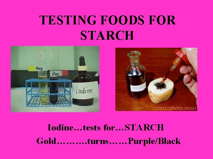 TESTING FOODS FOR STARCH Iodine…tests for…STARCH Gold………. turns……Purple/Black 