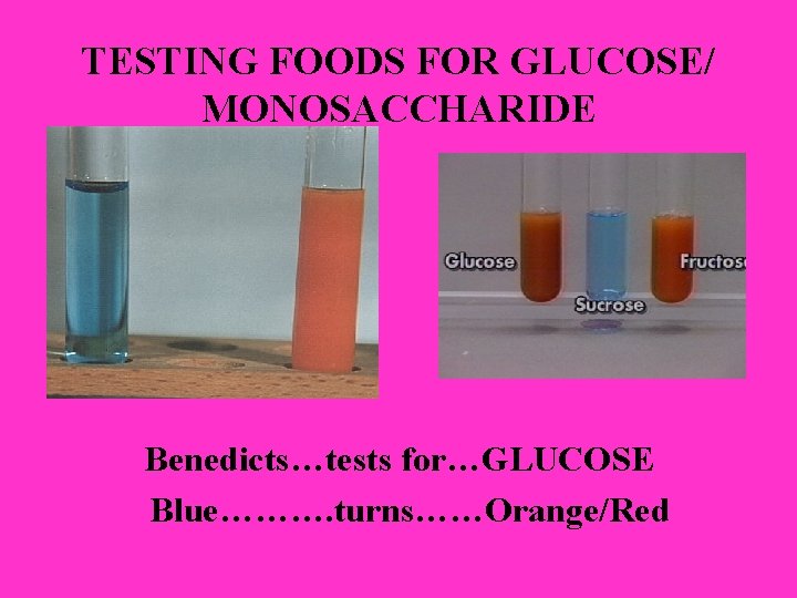 TESTING FOODS FOR GLUCOSE/ MONOSACCHARIDE Benedicts…tests for…GLUCOSE Blue………. turns……Orange/Red TESTING FOODS FOR GLUCOSE/ MONOSACCHARIDE Benedicts…tests for…GLUCOSE Blue………. turns……Orange/Red
