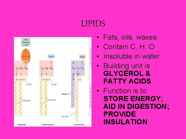 LIPIDS • • Fats, oils, waxes Contain C, H, O Insoluble in water Building