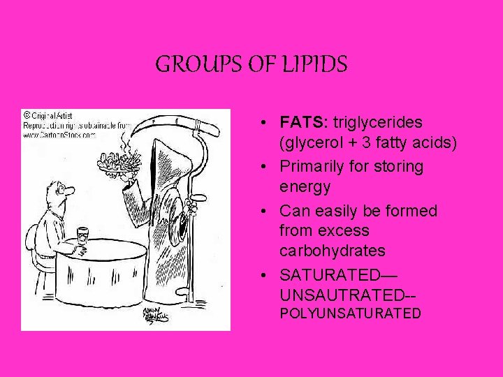 GROUPS OF LIPIDS • FATS: triglycerides (glycerol + 3 fatty acids) • Primarily for