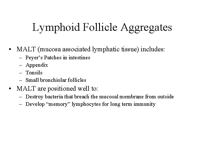 Lymphoid Follicle Aggregates • MALT (mucosa associated lymphatic tissue) includes: – – Peyer’s Patches