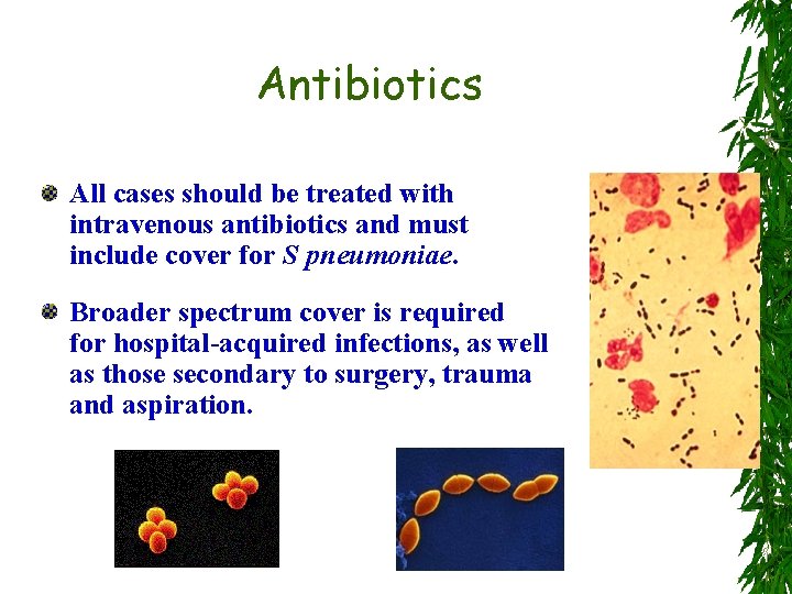 Antibiotics All cases should be treated with intravenous antibiotics and must include cover for