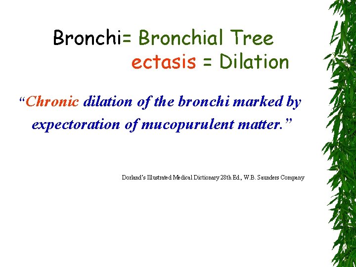 Bronchi= Bronchial Tree ectasis = Dilation “Chronic dilation of the bronchi marked by expectoration